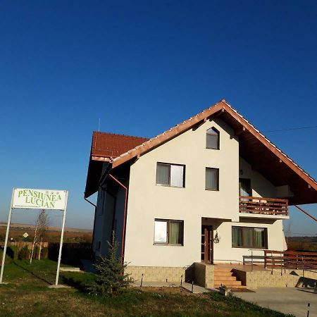 Pensiunea Lucian Baltati Exterior photo